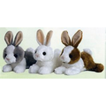 8" Baby Bunny Assortment